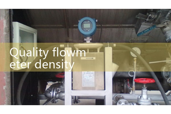 Density setting of mass flow meter
